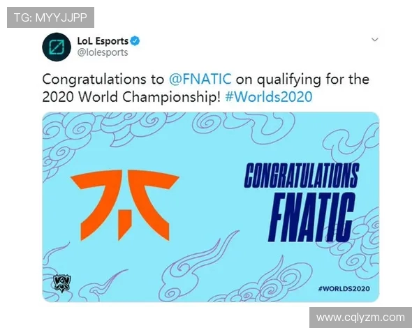 CFO LCP与FNC LEC核心差异全方位对比与发展趋势探讨 CFO LCP与FNC LEC核心差异全方位对比与发展趋势探讨