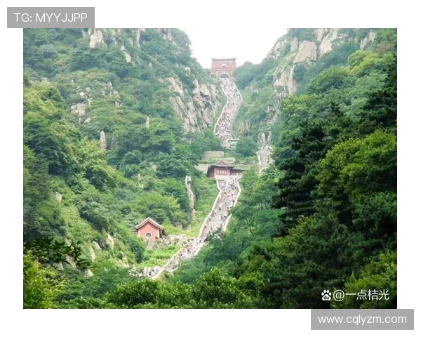 山东泰山文化与自然景观融合发展对区域旅游经济的深远影响研究 山东泰山文化与自然景观融合发展对区域旅游经济的深远影响研究