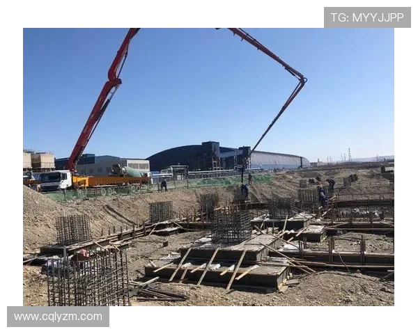 新疆广汇集团在多元化发展战略下推动区域经济转型与可持续发展新机遇