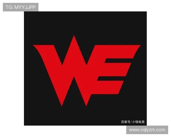 WE战队在CSGO比赛中的盯防策略分析与成败得失探讨