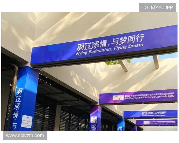 成都羽毛球队与杭州羽毛球队耐力较量赛后分析与反思